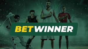 Experience the Thrills of Betting with BetWinner Bookmaker Experience the Thrills of Betting with BetWinner Bookmaker
